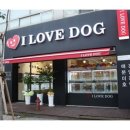 아이러브 독 이미지