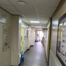 엘씨씨어학원 네이버블로그