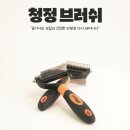 고양이빗 추천 🐾 빗질 싫어하던 냥이도 골골송 on 펫펍 청정브러쉬 내돈내산후기