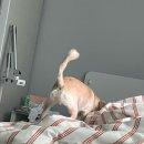 정*병