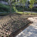 단구동 행정복지센터 이미지