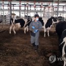 소격리농장 이미지