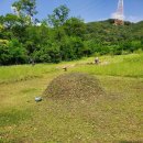 서산현대서비스 | 충남벌초 서산벌초 전문 ‘충남산소공사’ 이용후기