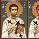 천상 농장 이미지