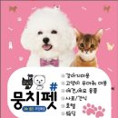 뭉치펫 이미지