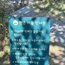개린이 하우스 | [후기] 평택 애견 동반 카페 ‘이화로256’