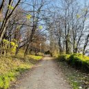 대왕판교로560번길 이미지