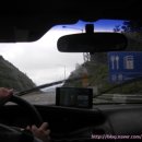 종식목장 이미지