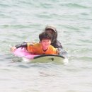 고고비치서프 이미지