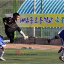 화성장안초등학교 이미지