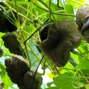 상이농장 이미지