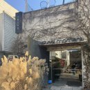 스틸모먼트 | 파주 헤이리마을 브런치 맛집 &#34;스틸모먼트&#34; 주말 내돈내산 후기 / 트러플 크림 파케리, 해물밥(토마토...