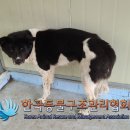 까치산로4길 피플워치