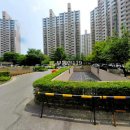 용호2로54번길 이미지