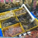 태평양수산 이미지