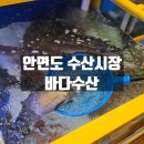 원바다회 | 안면도 수산시장 포장 맛집 바다수산 내돈내산 숭어회 방문 포장후기