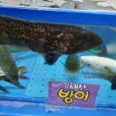 세자매회양념집
