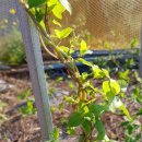 원찬농장 이미지