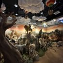 테디베어뮤지엄 | 군산 " 테디베어 뮤지엄 " 다녀온 후기♥