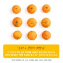 새롬달콤 | 제주도귤택배 추천 : 못생겼지만 맛있는 친환경감귤 - 낭만감귤 후기
