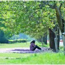 양평벚꽃하우스 이미지