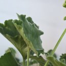 대박이2 이미지