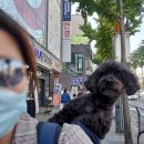 닥터아이펫 동물병원 이미지