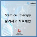 (주)엘씨케이 이미지