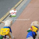 개동유치원 이미지