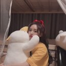 리본공주