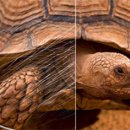 눈사랑안경 서면점 이미지