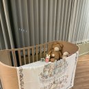 제이에스 | 퇴소하기 싫었던 조리원💗동탄제이에스조리원! 시그니처룸 리얼 후기