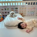 루비반지 PET SHOP 우두점 | 하람이 사진 가득한 8월 일상로그(첫 블챌..!)💜