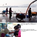 고성대게