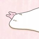 행복으로 초대 이미지