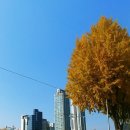 서남주유소 이미지