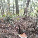 단양군가곡면대대보건진료소 | 오늘