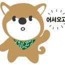 핫독애견 이미지