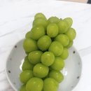 해찬농장 이미지