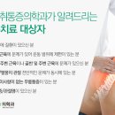 국제척추교정학회 이미지