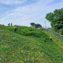 송추효요양병원 | 2025년 6월 19일 남양주시 송추효요양병원 윗쪽 레이다기지 예초작업