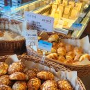 커피단월 이미지