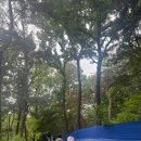 연세대 동문 아카라카 후기(부제 : 자연광과 맞바꾼 피부_ssyagal...)