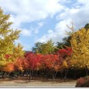 야외음악당 이미지