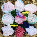 광안리 까치횟집 이미지