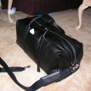 코치 올 가죽 cabin BIG bag (여행용 가방 및 뽀대용 백백) 이미지