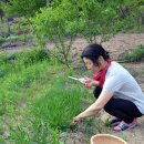 덩치제육 이미지