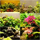 폴로관광호텔 이미지