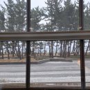 스카이호텔 | 강릉 스카이베이 경포 호텔 인피니티풀 후기, 수영장 뷰 보고 말잇못..