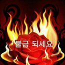 모두모아